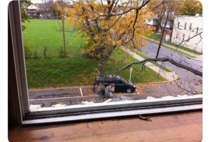 perfectphotos112_024