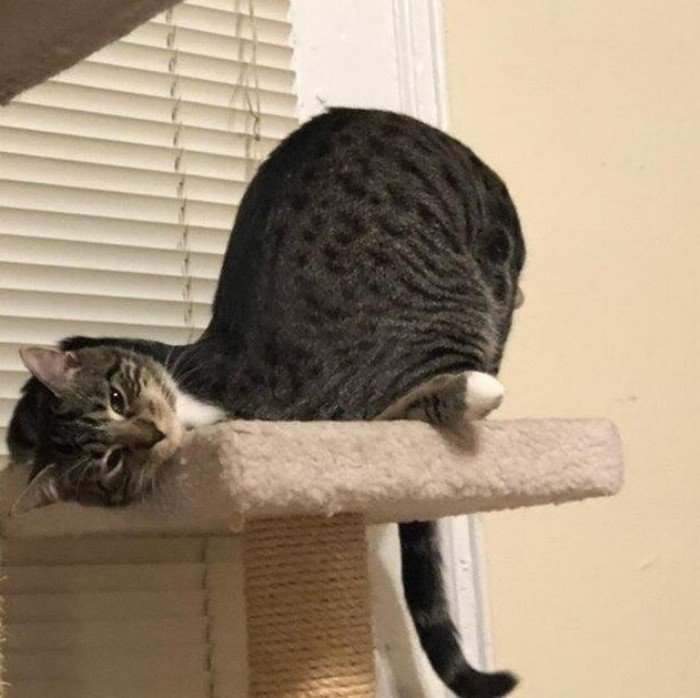 perfectphotos112_029