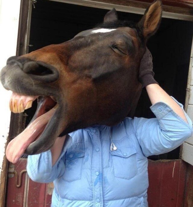 perfectphotos112_030