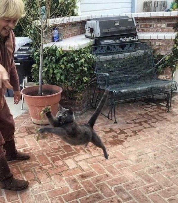 perfectphotos112_032