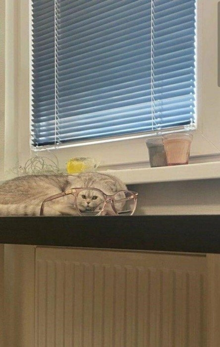 perfectphotos112_034