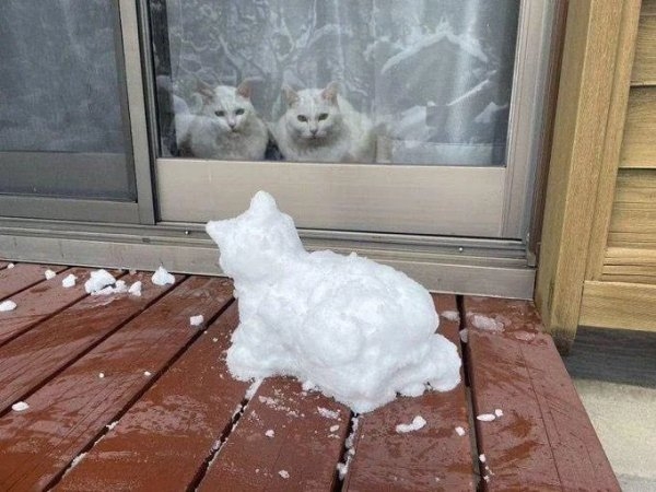 randompics1609_032
