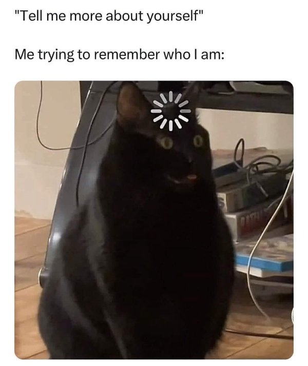 funnymemes271_003