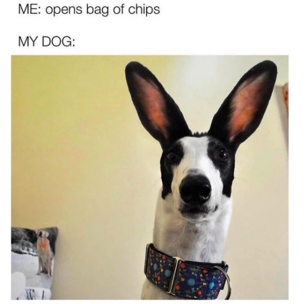 funnymemes271_004