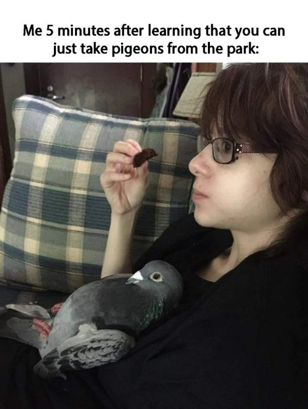 funnymemes271_009