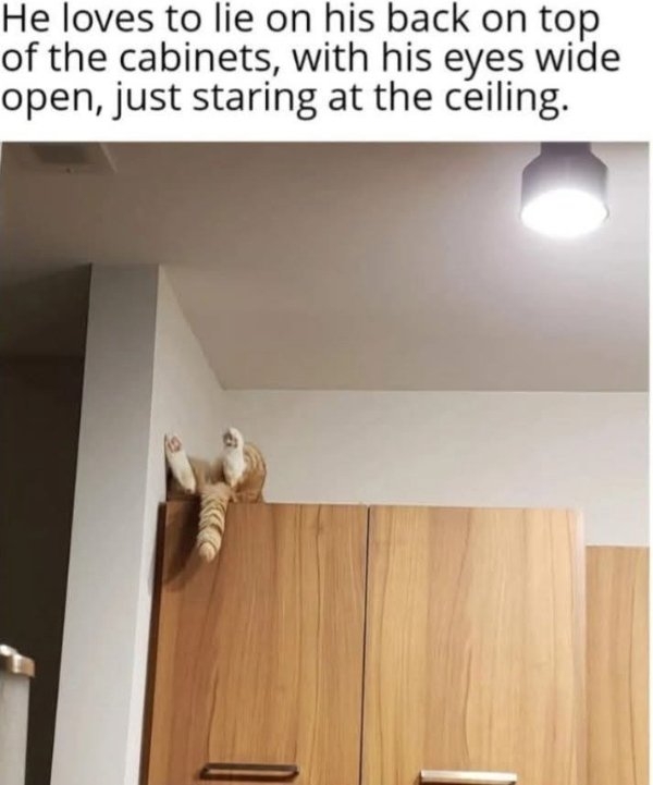 funnymemes271_011