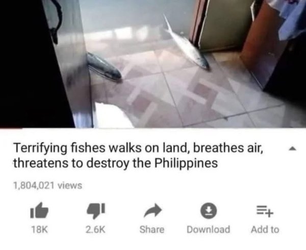 funnymemes271_016
