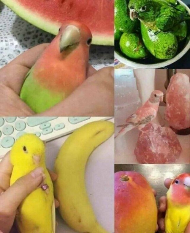 funnymemes278_016