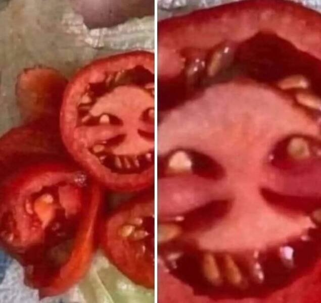 funnymemes278_019