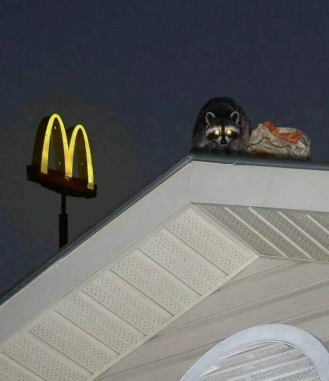 funnymemes278_020