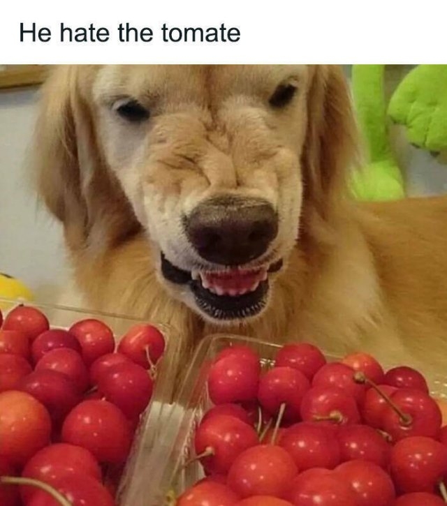 funnymemes278_024