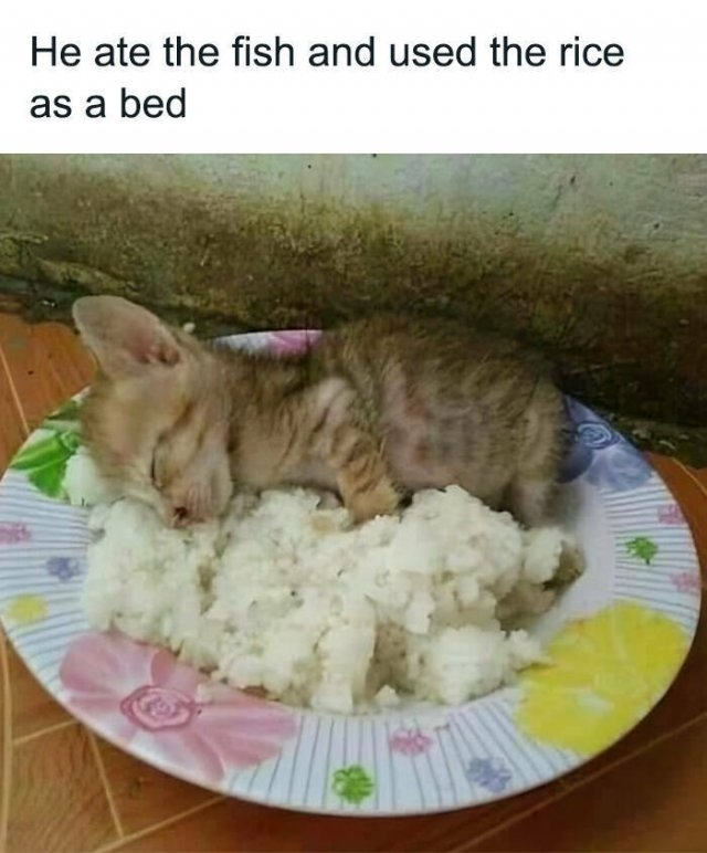 funnymemes278_026