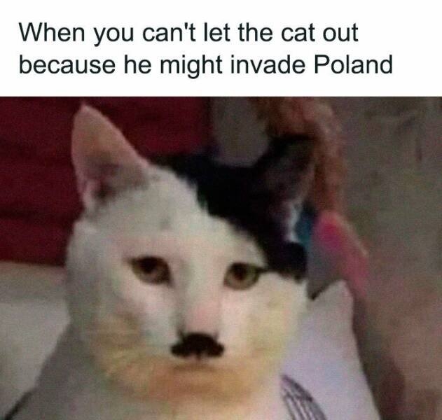 funnymemes279_002
