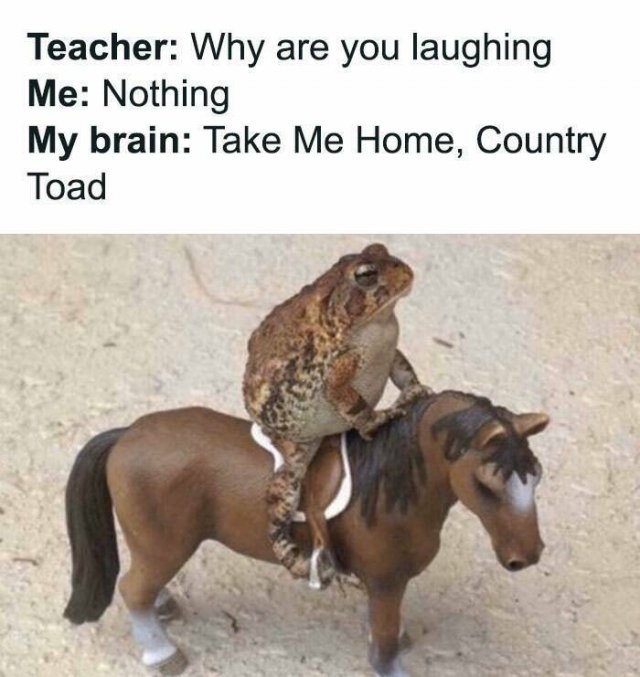 funnymemes279_003