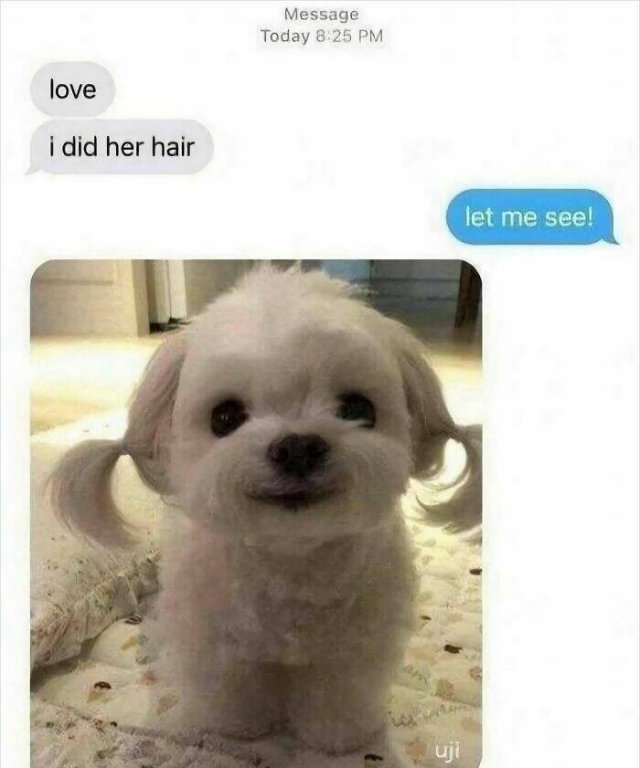 funnymemes279_008