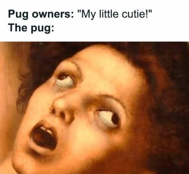 funnymemes279_009