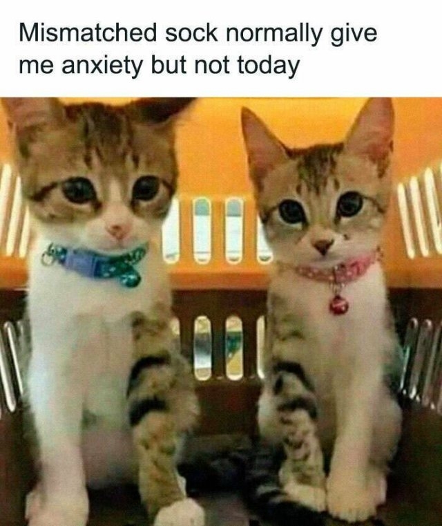 funnymemes279_012