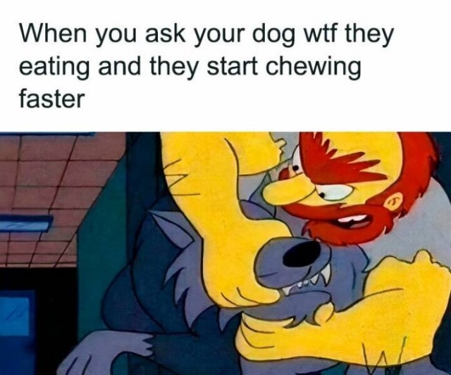 funnymemes279_014