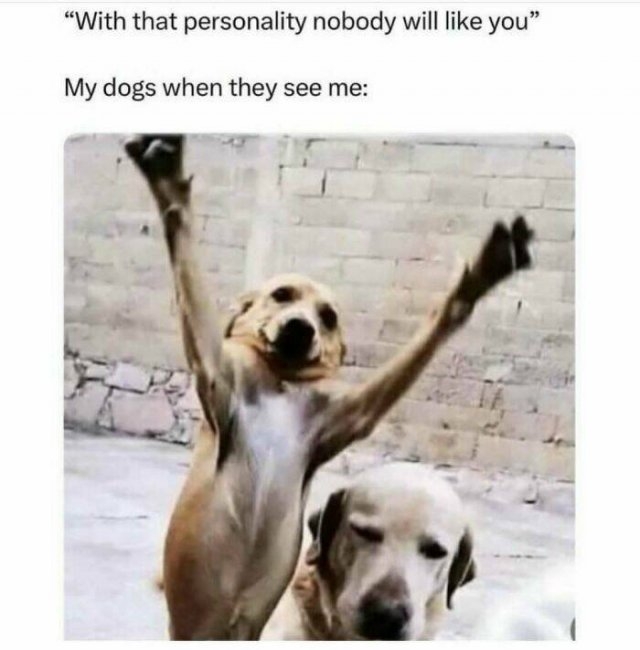 funnymemes279_016