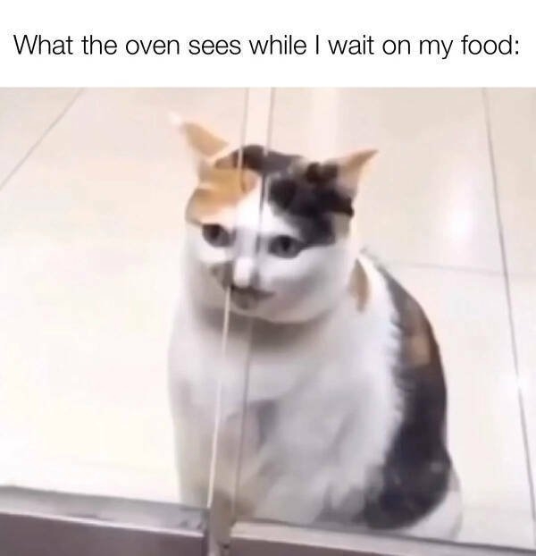funnymemes283_003
