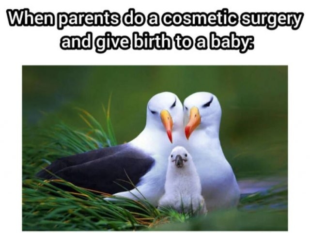 funnymemes283_004