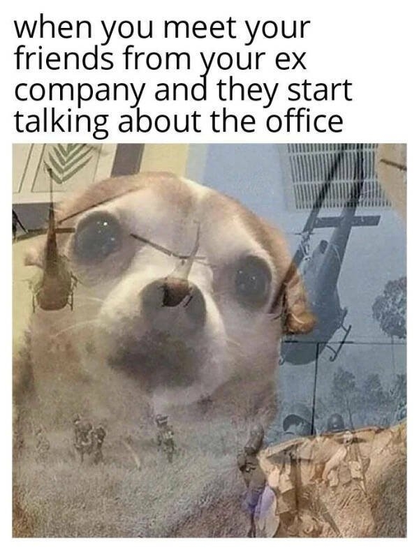 funnymemes283_012