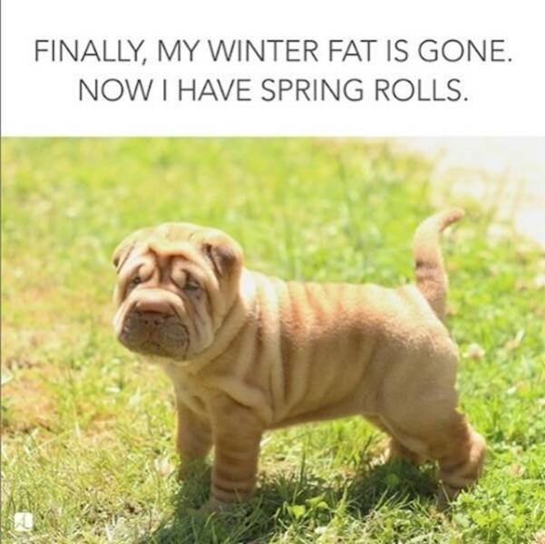 funnymemes283_019