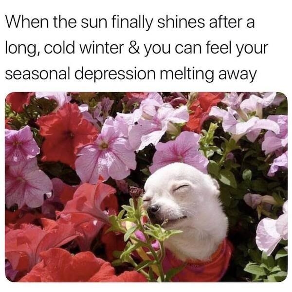 funnymemes283_020