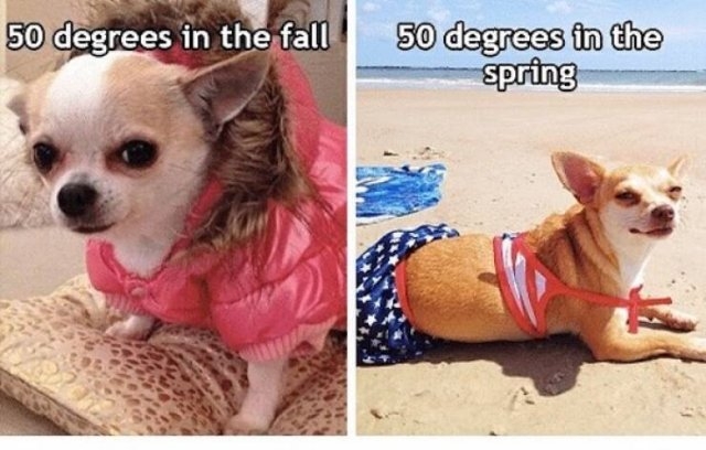 funnymemes283_032