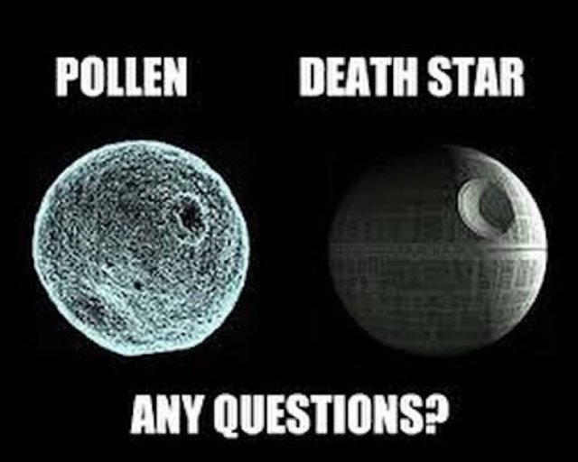 funnymemes283_033