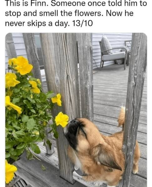 funnymemes283_034