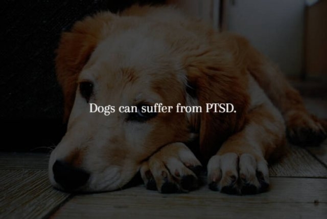 interestingfacts231_001