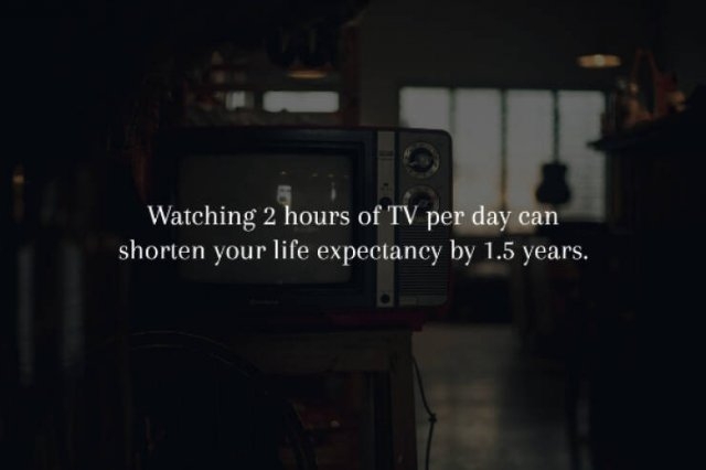 interestingfacts231_004