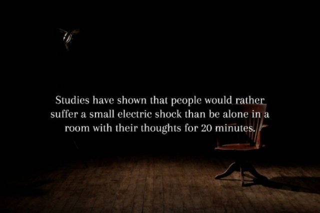 interestingfacts231_005