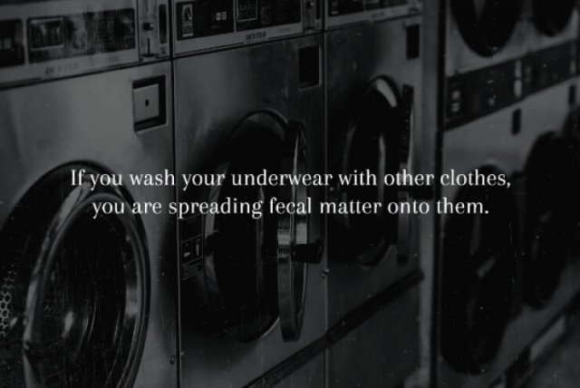 interestingfacts231_006