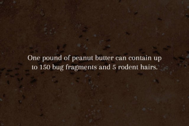 interestingfacts231_007