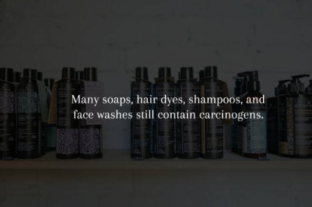 interestingfacts231_009