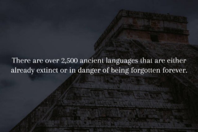 interestingfacts231_010