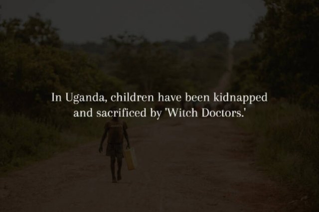 interestingfacts231_013