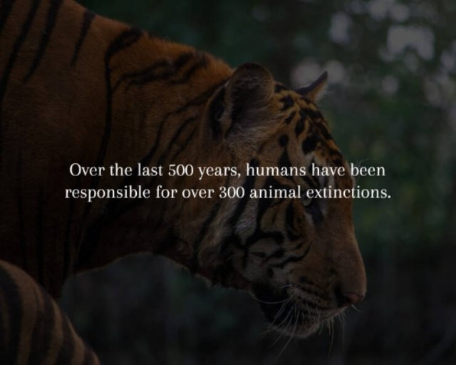 interestingfacts231_014