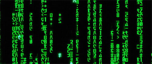 interestingfacts232_008