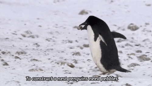 interestingfacts234_010