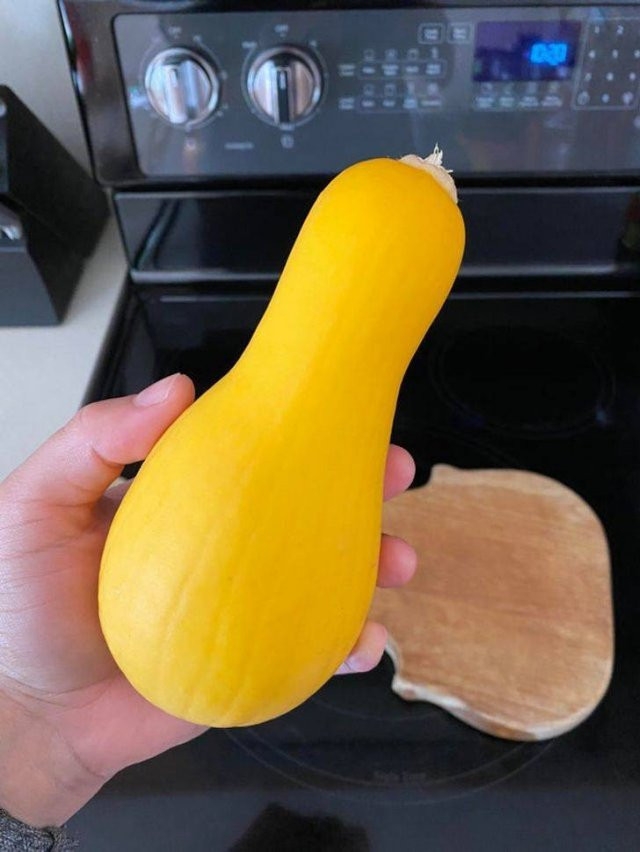 perfectphotos113_008