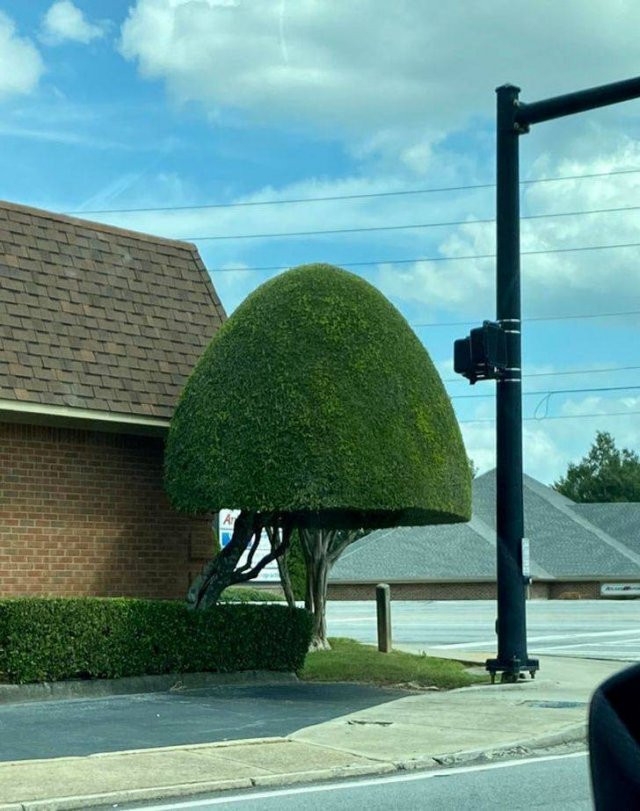 perfectphotos113_013