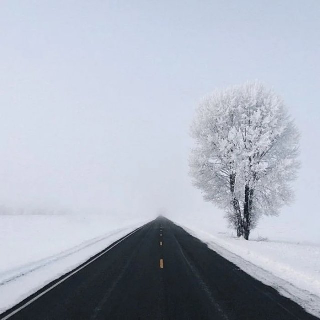 perfectphotos114_005