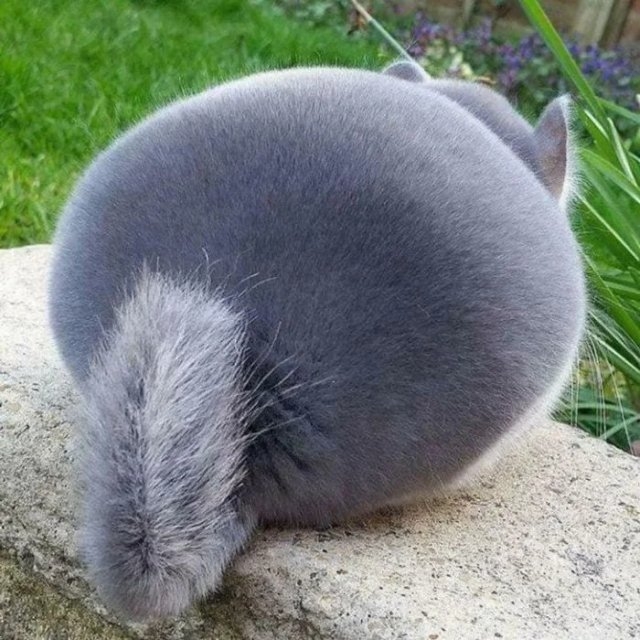 perfectphotos114_010