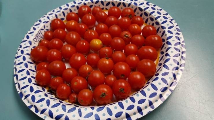 perfectphotos115_005