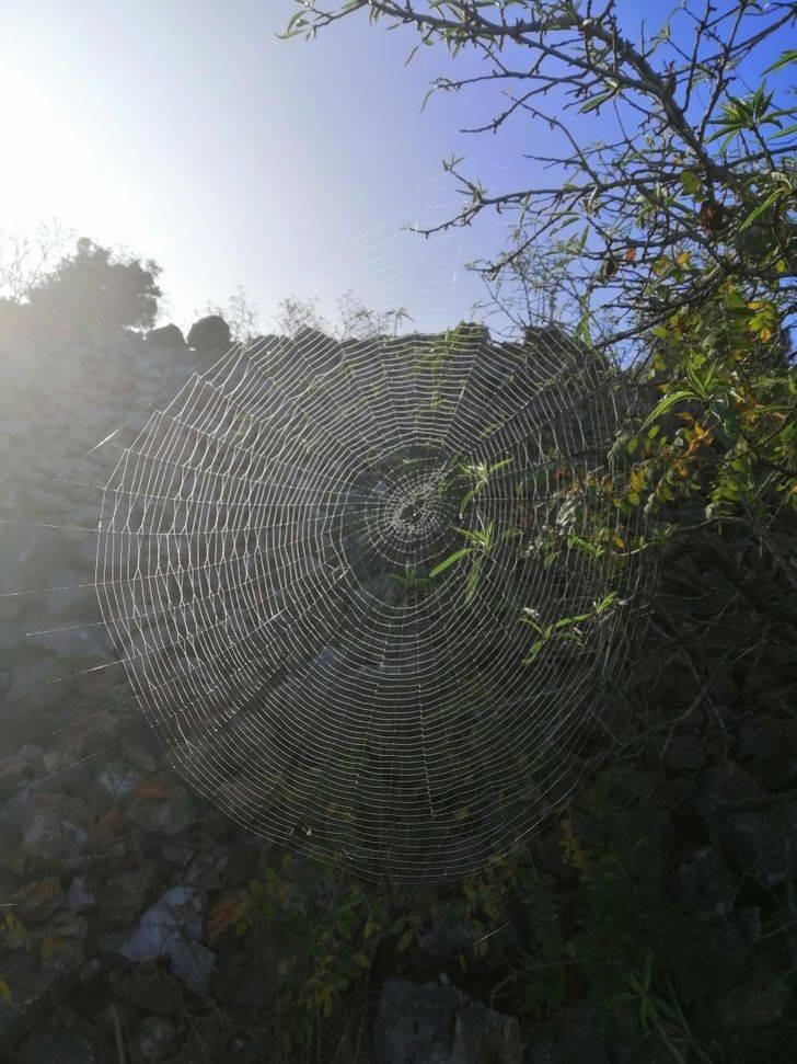 perfectphotos115_016