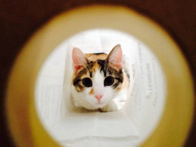 perfectphotos116_004