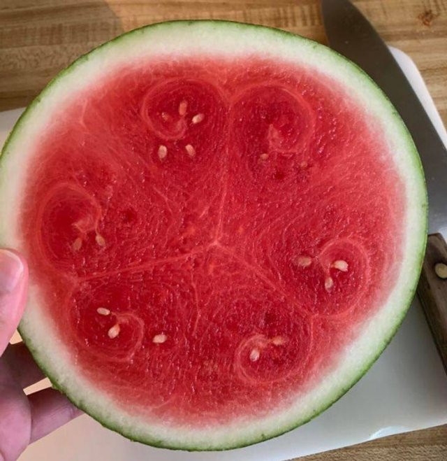 perfectphotos116_006